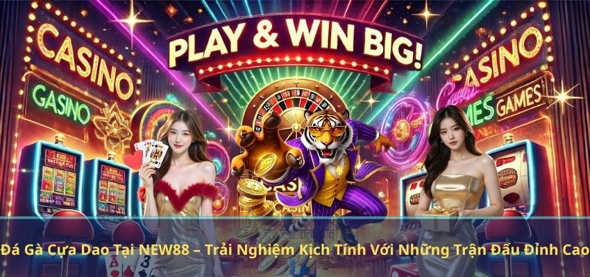 Đá Gà Cựa Dao Tại NEW88 – Trải Nghiệm Kịch Tính Với Những Trận Đấu Đỉnh Cao